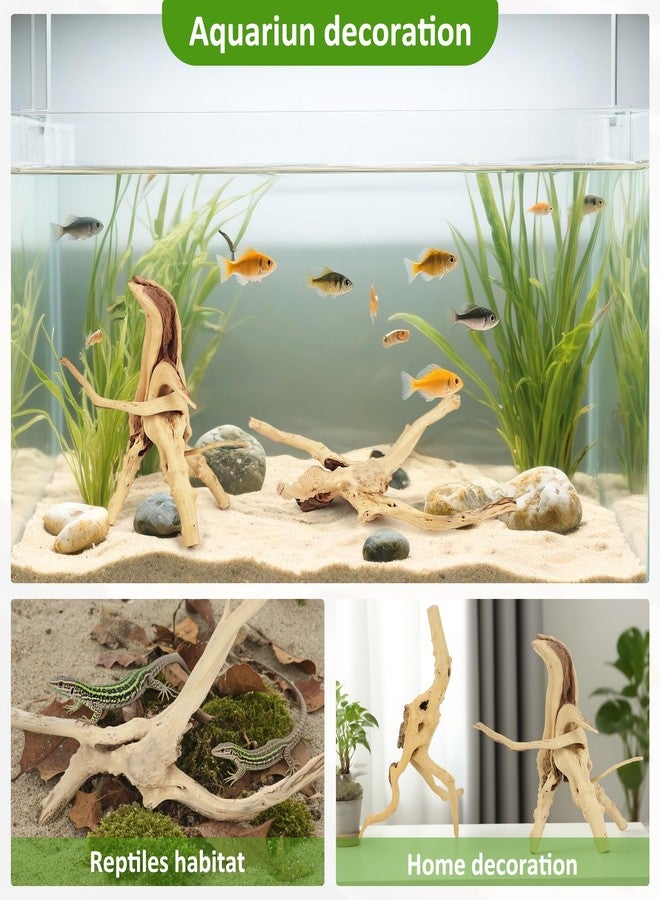 Axigundaone 8 Pcs Natural Spider Woods, 4-8 Inch Small Driftwood Branches, Aquarium Driftwood for Reptile Fish Tank Decorations - Image 5